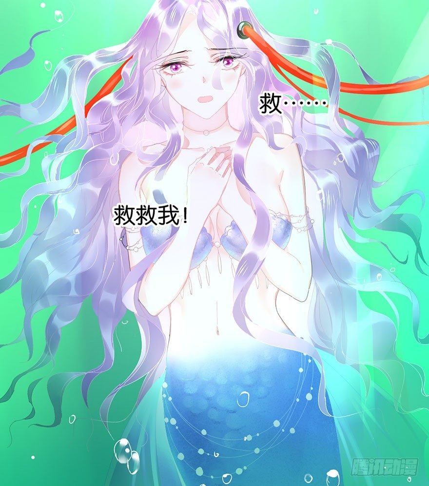 第二十四话 鲛人