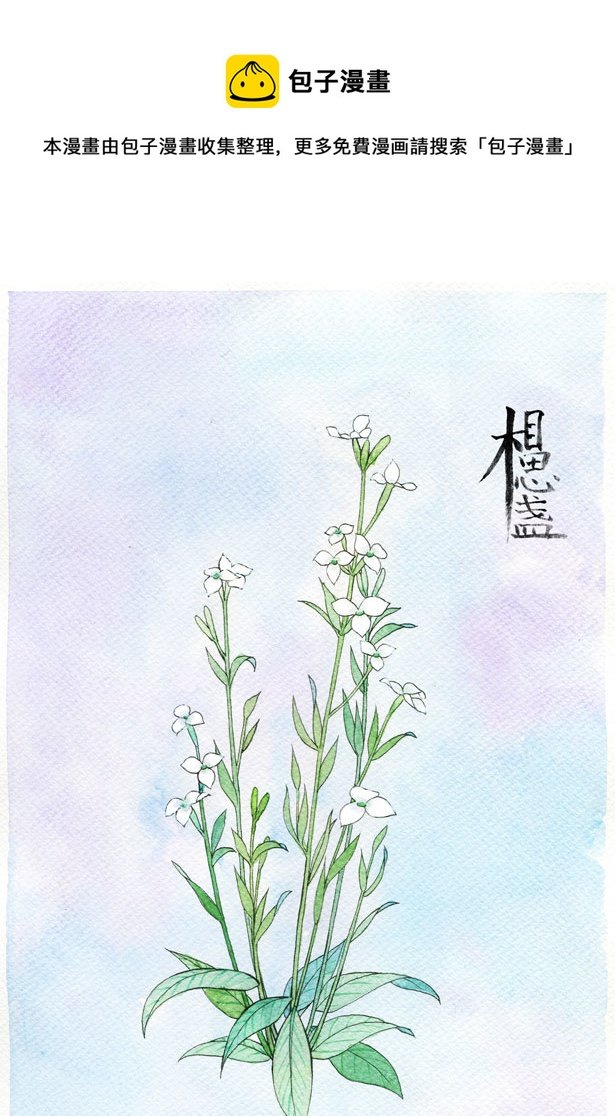 相思盏（十七）