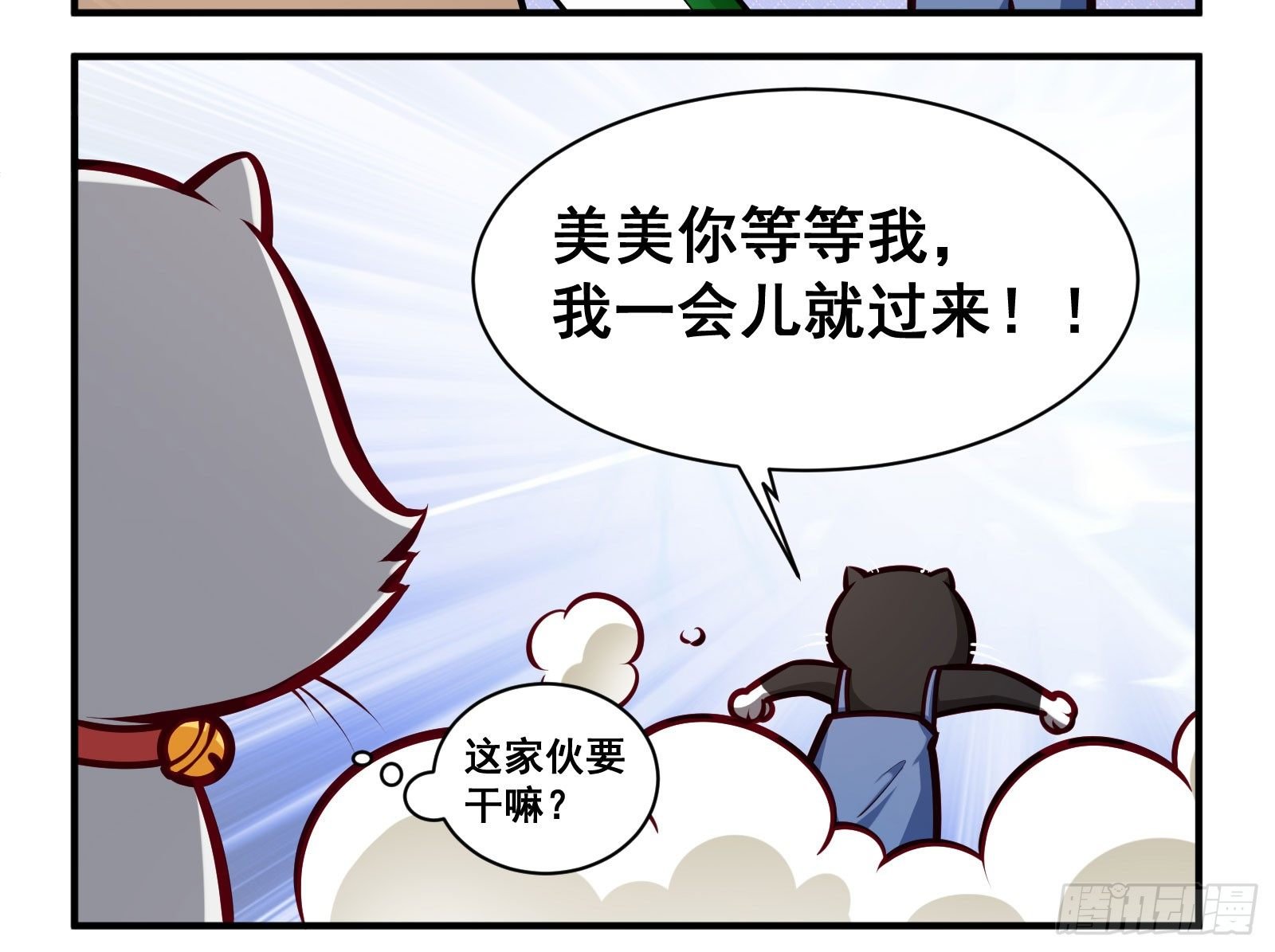 孔雀会开屏