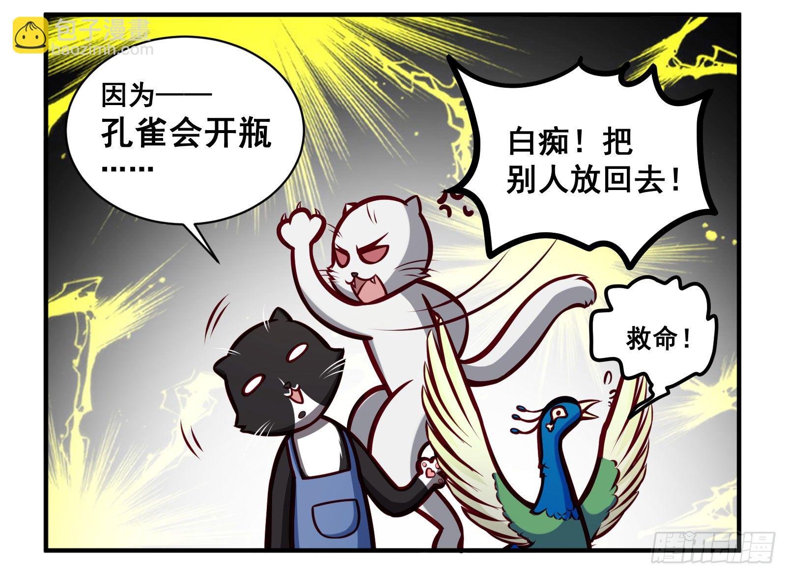 孔雀会开屏