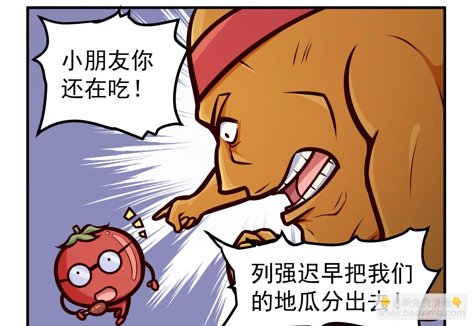 地瓜