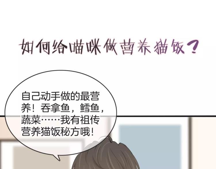 菲斯娜Feisna【猫说鱼】