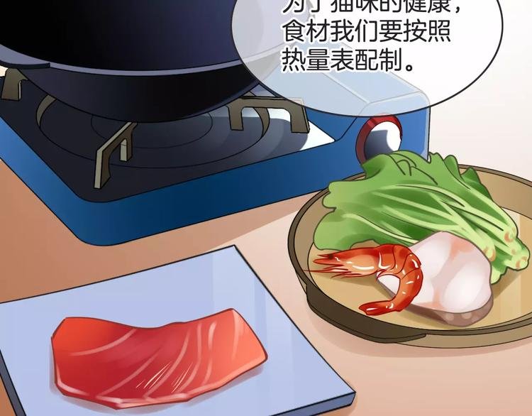 菲斯娜Feisna【猫说鱼】