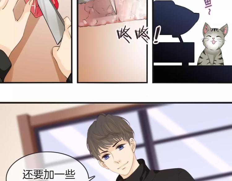 菲斯娜Feisna【猫说鱼】