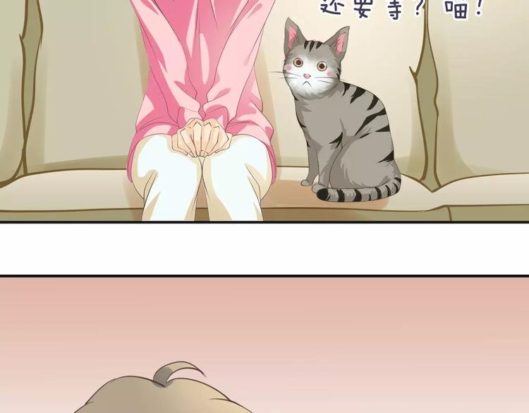 菲斯娜Feisna【猫说鱼】
