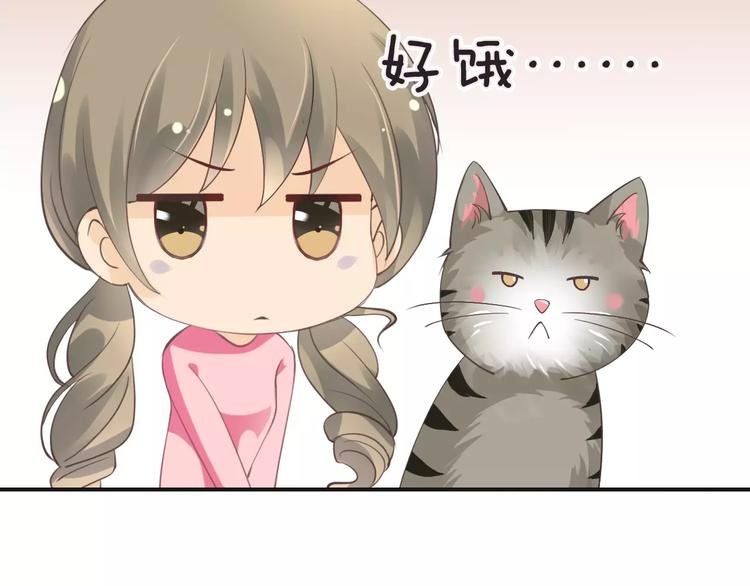 菲斯娜Feisna【猫说鱼】