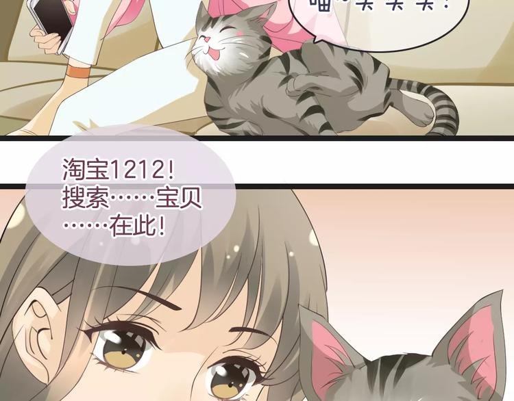 菲斯娜Feisna【猫说鱼】