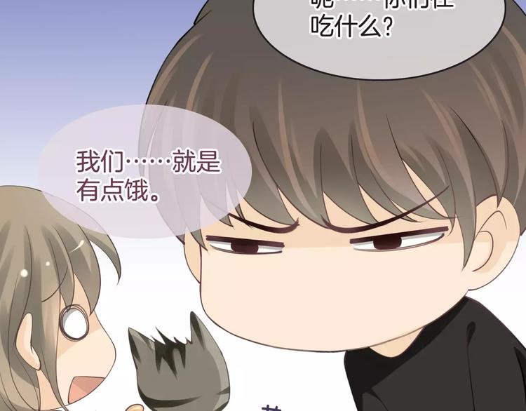 菲斯娜Feisna【猫说鱼】