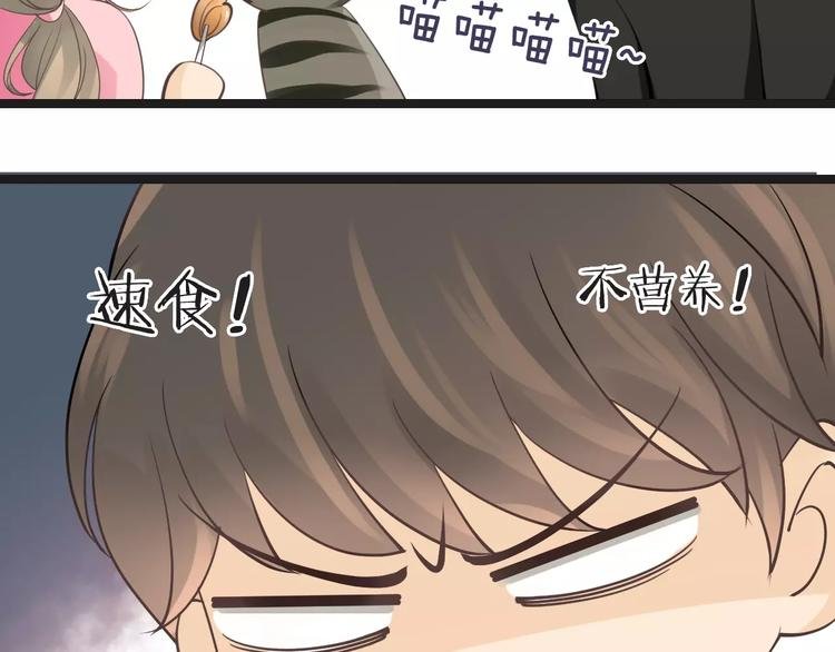 菲斯娜Feisna【猫说鱼】