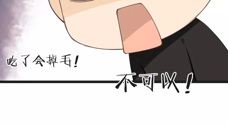 菲斯娜Feisna【猫说鱼】