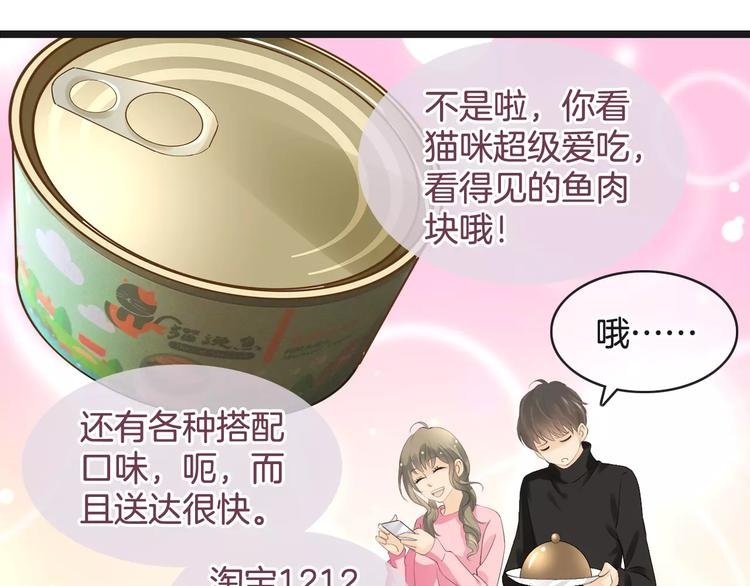 菲斯娜Feisna【猫说鱼】