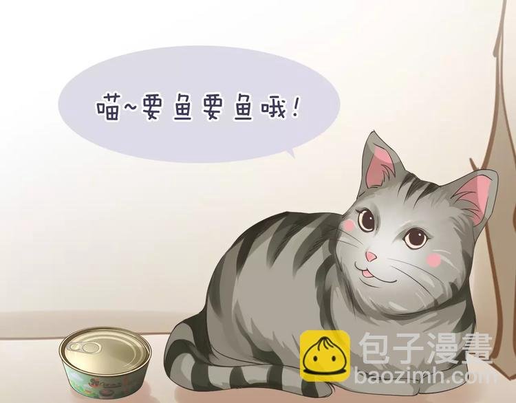 菲斯娜Feisna【猫说鱼】