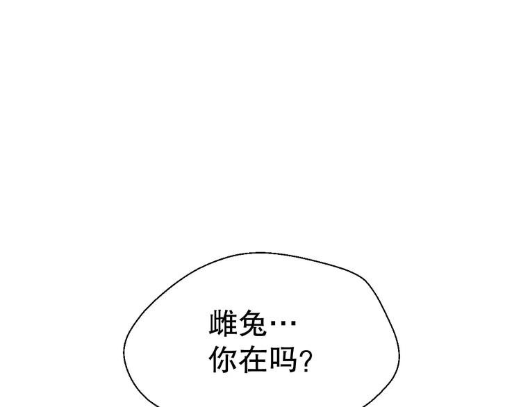 雌兔迷离【穿越时空找到你】