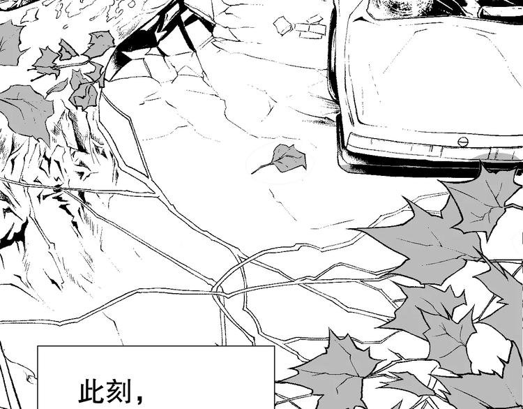 雌兔迷离【穿越时空找到你】