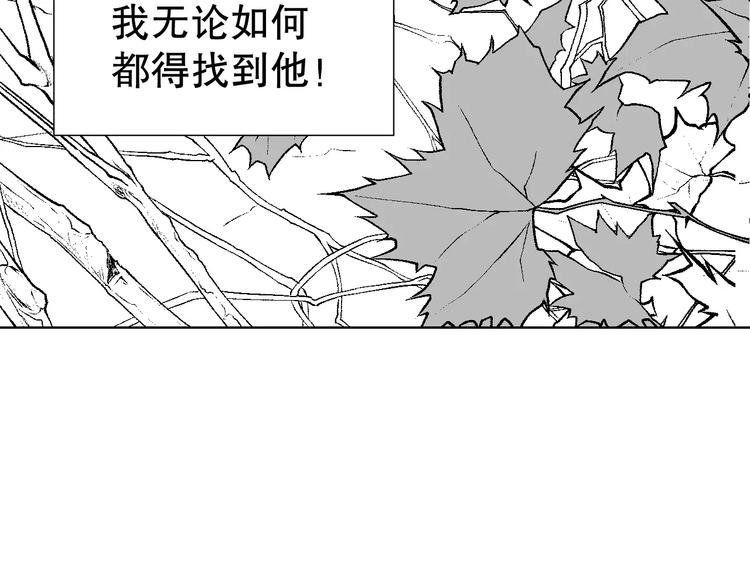 雌兔迷离【穿越时空找到你】