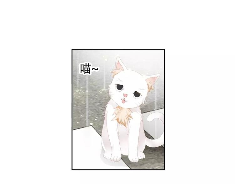 札雅【精灵宝盒】