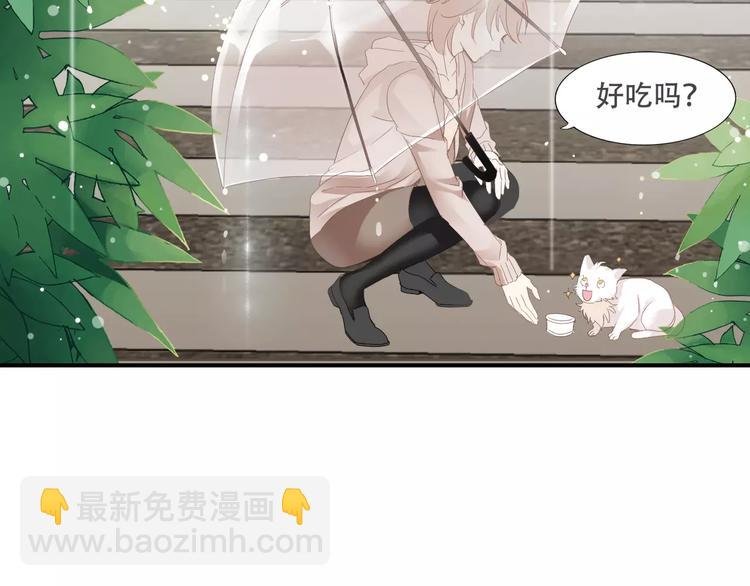 札雅【精灵宝盒】