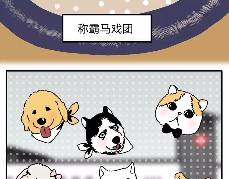 歌茗【有赠品汪】