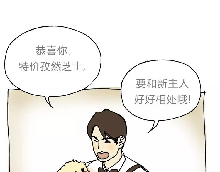 歌茗【有赠品汪】