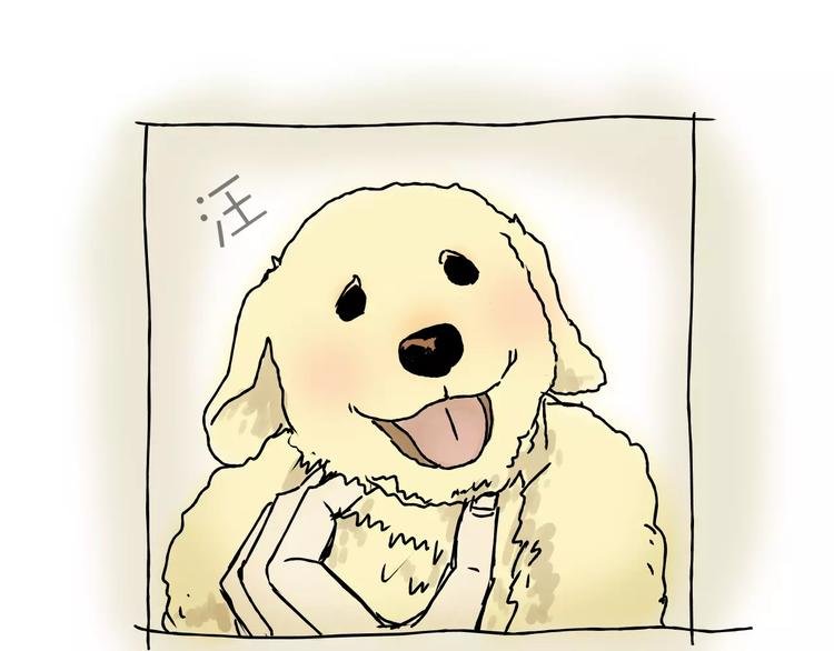 歌茗【有赠品汪】