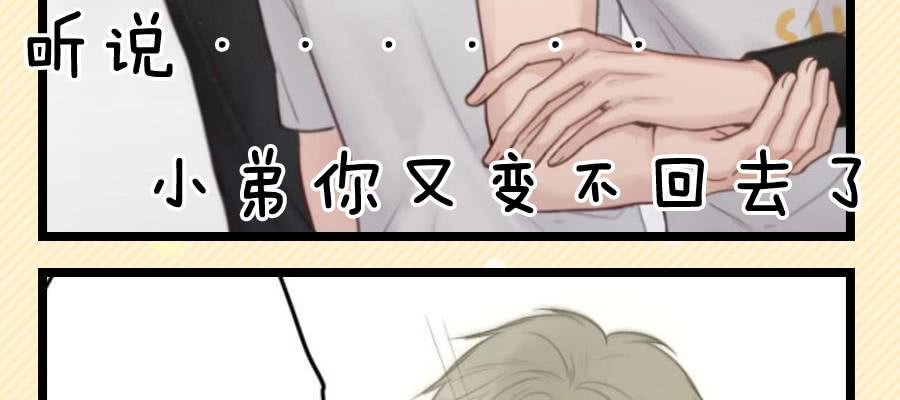给粉丝们做爱心月饼