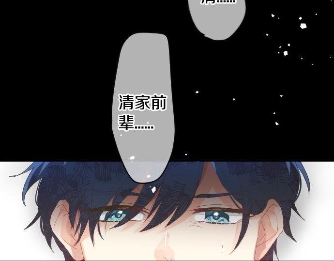 第221话 飞扬的思绪
