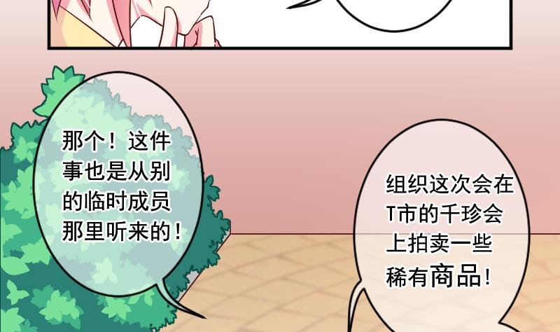 第27话 送上门的情报