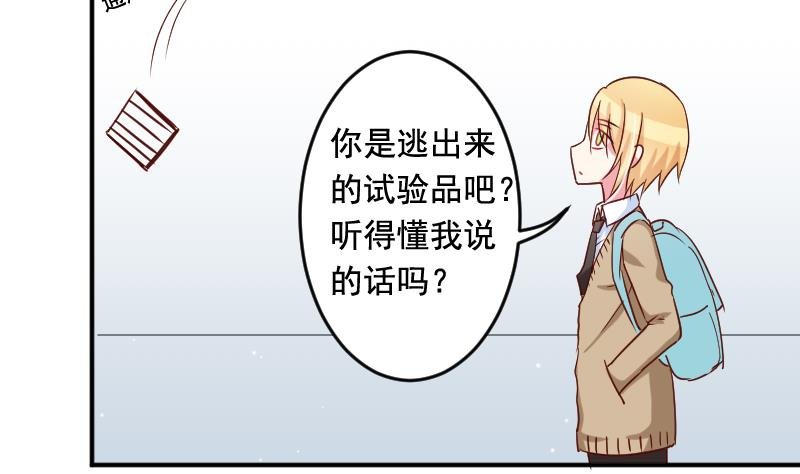 第28话 五年前