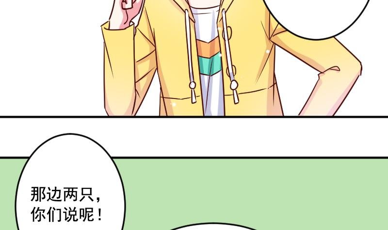 第29话 神秘组织的目的