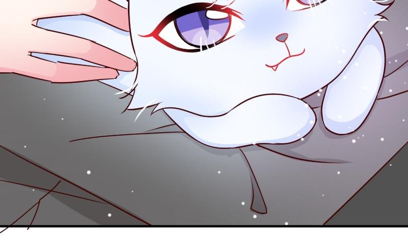 第29话 神秘组织的目的