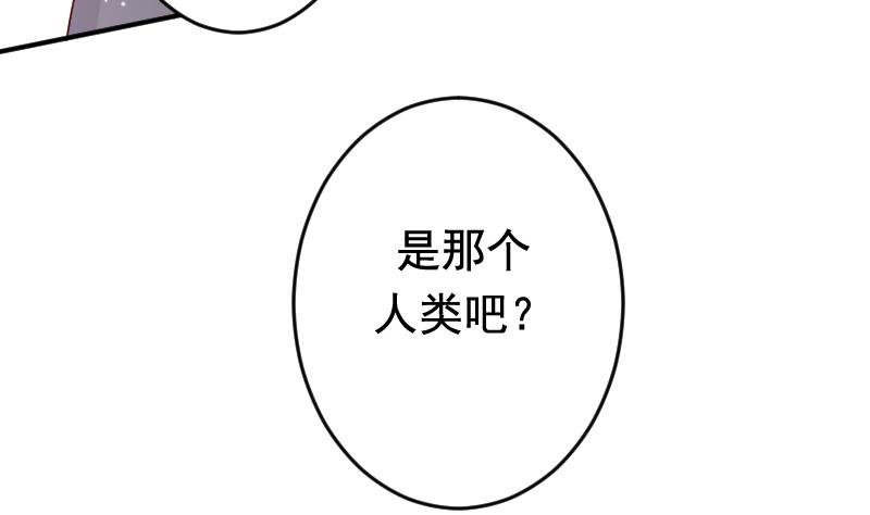 第31话 月神的另一传说