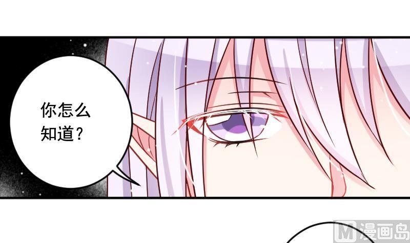 第31话 月神的另一传说