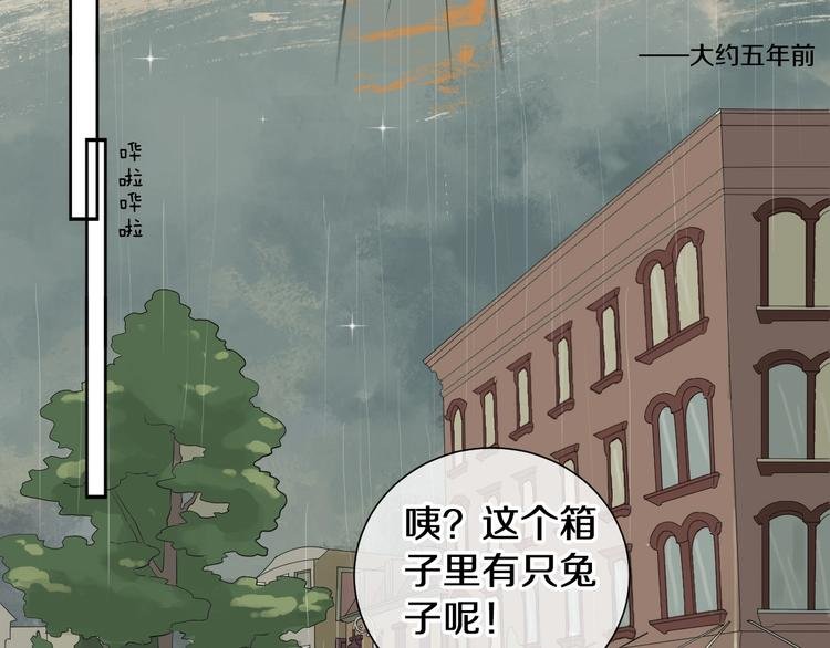 番外 兔子的过往