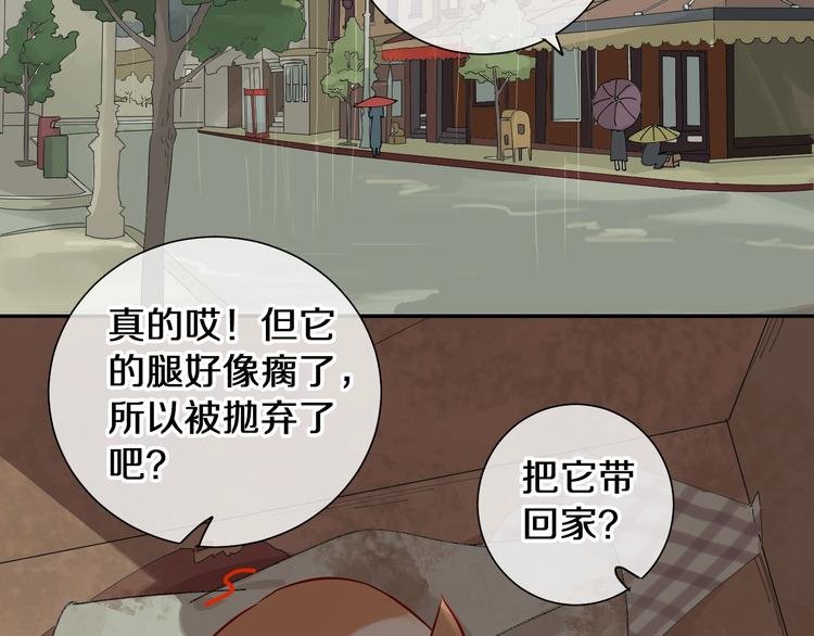 番外 兔子的过往