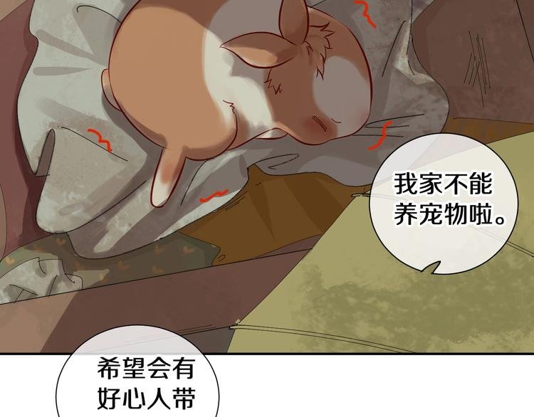 番外 兔子的过往