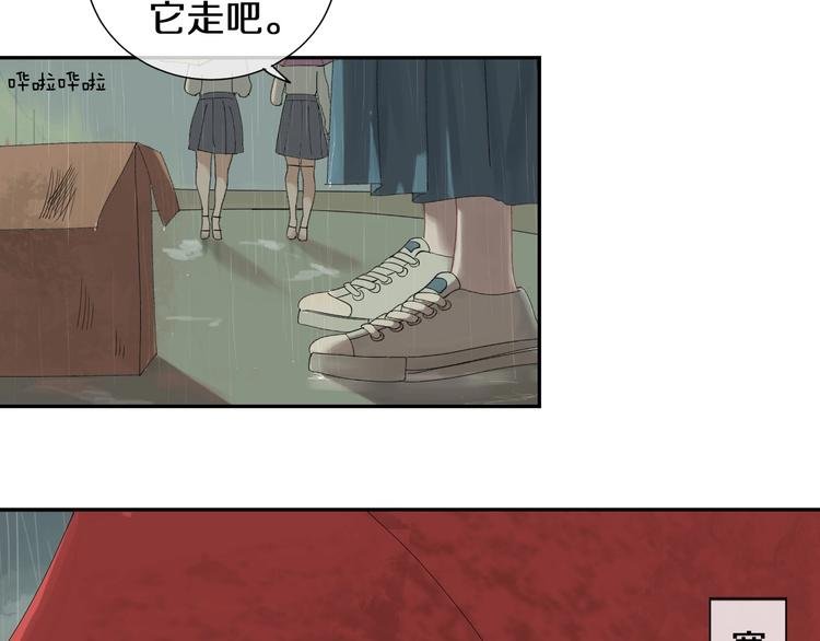番外 兔子的过往