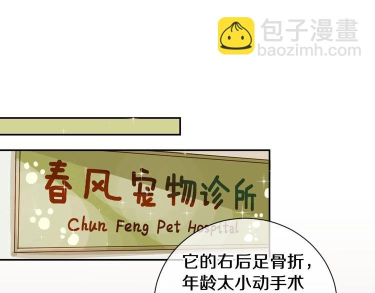 番外 兔子的过往