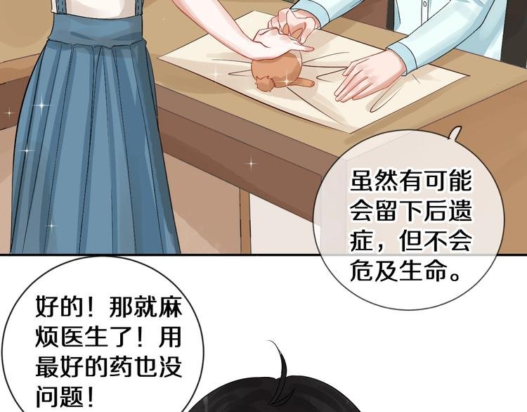 番外 兔子的过往