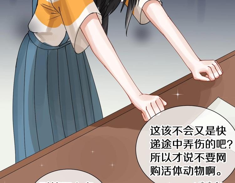 番外 兔子的过往