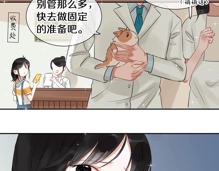 番外 兔子的过往