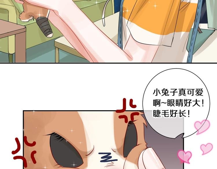 番外 兔子的过往