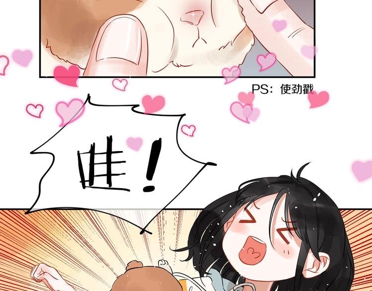 番外 兔子的过往