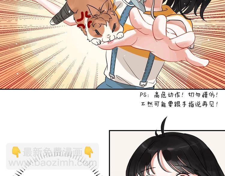 番外 兔子的过往