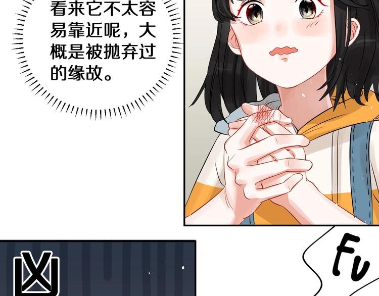 番外 兔子的过往