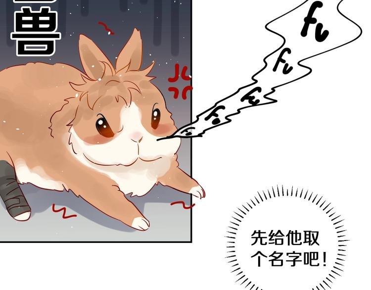 番外 兔子的过往