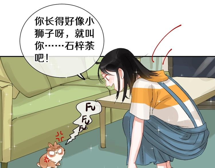 番外 兔子的过往
