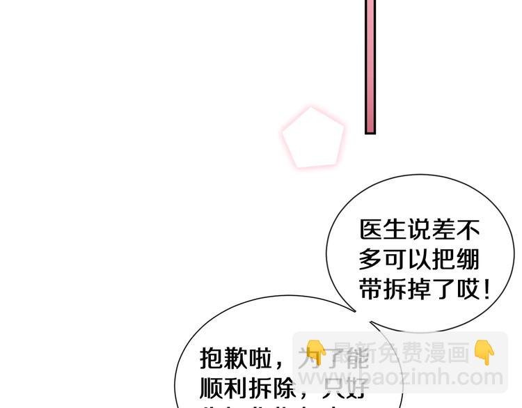 番外 兔子的过往