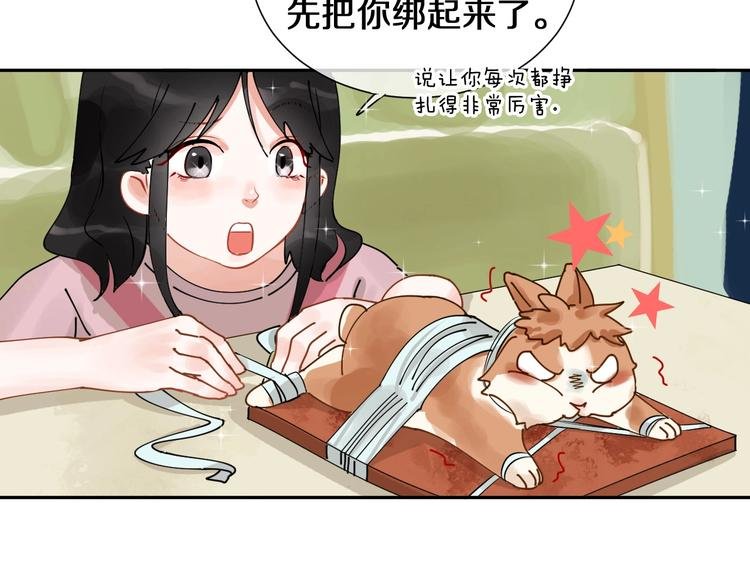 番外 兔子的过往