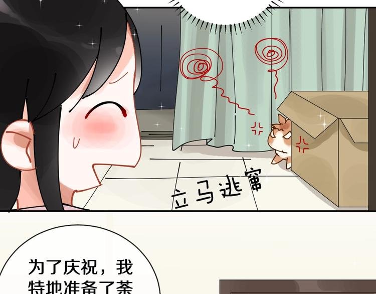 番外 兔子的过往