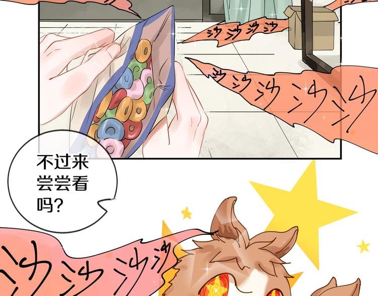 番外 兔子的过往
